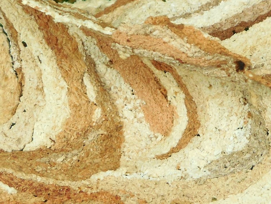 Nestmateriaal hoornaar